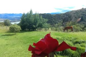 FINCA EL REFUGIO DE LA MONTA&Ntilde;A-TOMINE