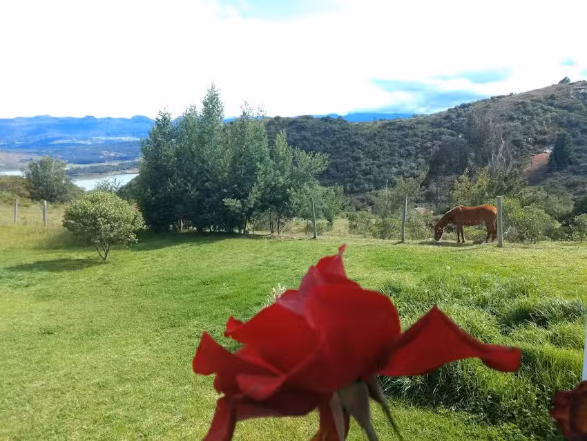 FINCA EL REFUGIO DE LA MONTA&Ntilde;A-TOMINE