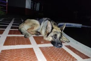 Finca el rinc&oacute;n de Tavito