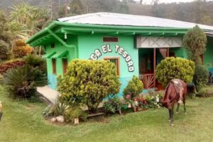 FINCA EL TESORO VDA HORIZONTE