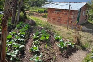 Finca el Triunfo &ndash; Moniquir&aacute;