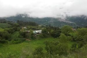 Finca Familia Ravelo Ardila