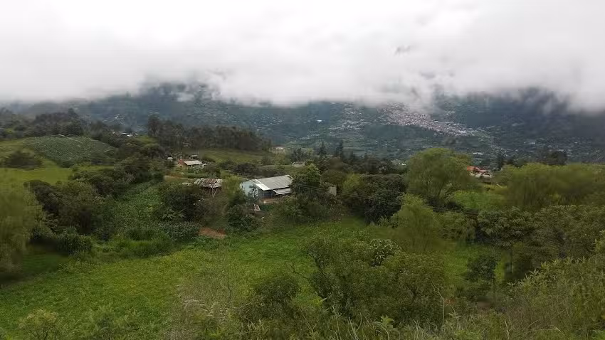 Finca Familia Ravelo Ardila