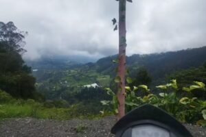 Finca Familiar Mesitas del Colegio