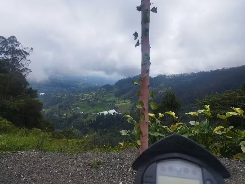 Finca Familiar Mesitas del Colegio