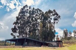 Finca Flor de Piedra