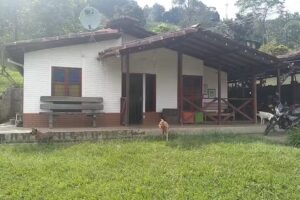 FINCA GIRASOLES LA MIEL