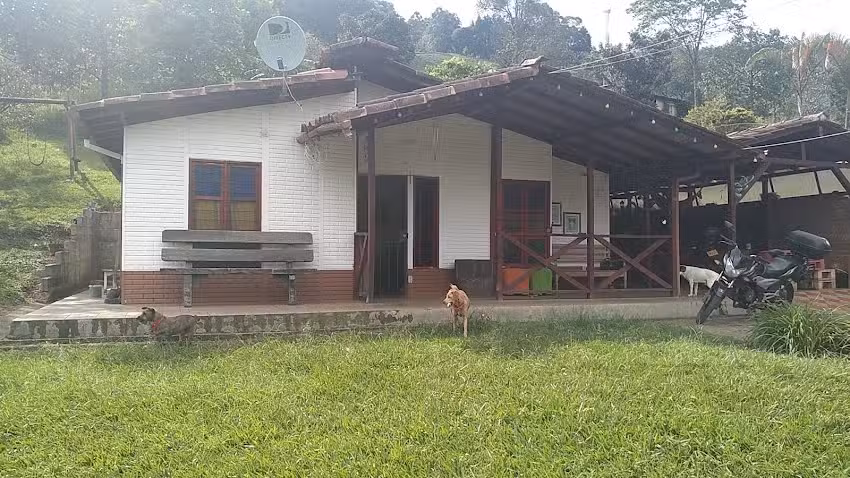 FINCA GIRASOLES LA MIEL