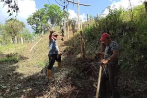 Finca GOJO – Ortiz Velandia