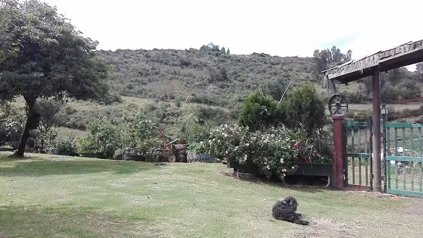 Finca Hato Viejo &ndash; Guachet&aacute;