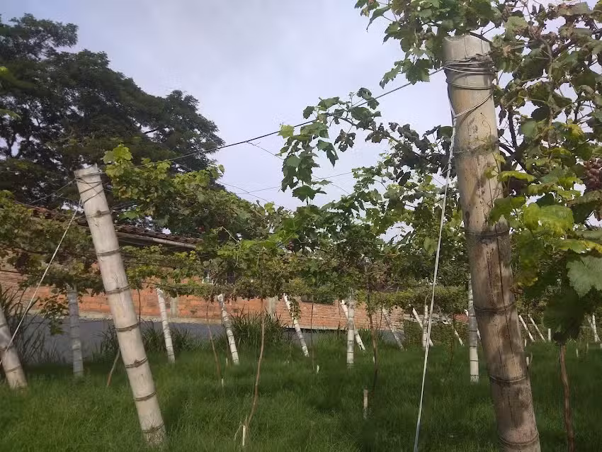 Finca Hospedaje Villa Bernarda