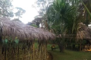 Finca Hostal La Paz Del Indio