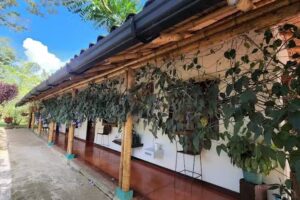 Finca Hotel Brasilia