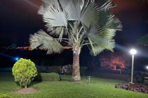 Finca hotel sobelo papa