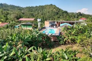 Finca Hotel Villa Amalia