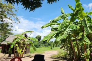 Finca Isabel Luc&iacute;a EMH