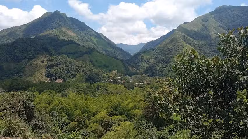 FINCA JOSE USECHE