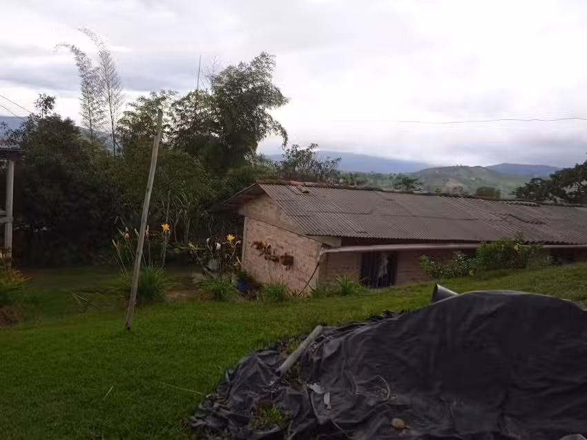 Finca LA BANANERA