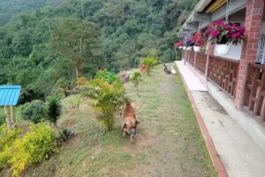 FINCA LA CABA&Ntilde;A