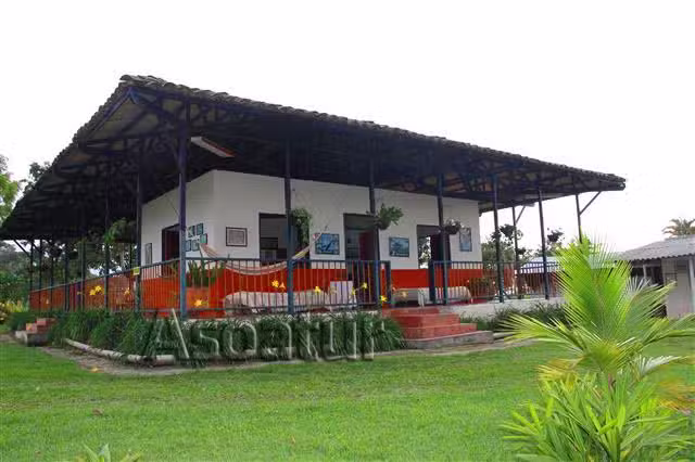 Finca la Camelia