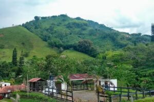 Finca La Carolina Pereira