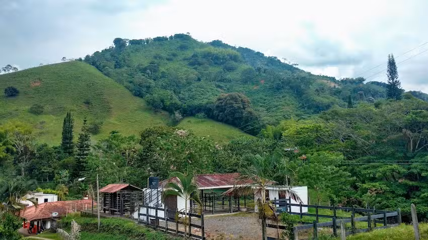 Finca La Carolina Pereira