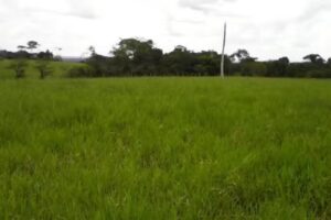 FINCA LA CINQUE TERRE