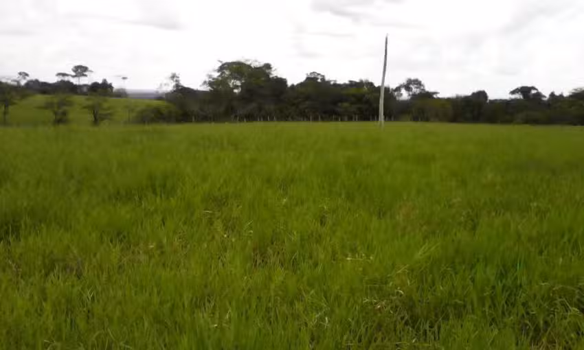 FINCA LA CINQUE TERRE