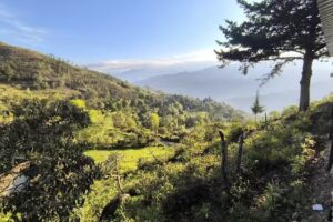 Finca La Dorada Casa en la montaña