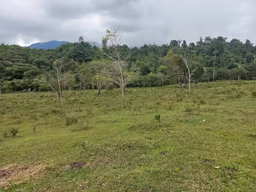 Finca la esperanza