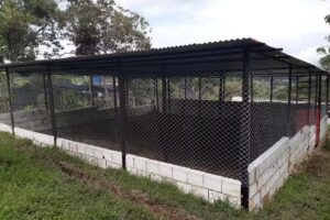 Finca la esperanza vereda resguardos