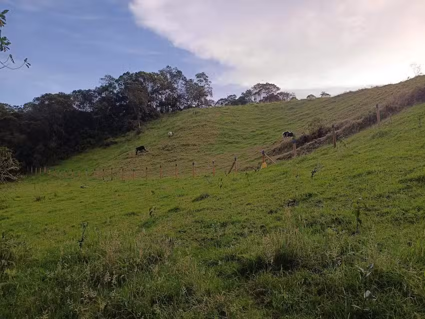 Finca La Laguna
