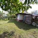 Finca La Luisa