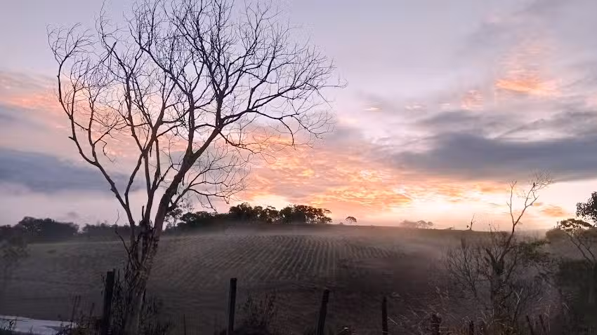 Finca La Maria