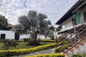 Finca La Martinoza La Torre