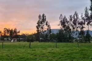 Finca La Paz Rebeca S&aacute;nchez