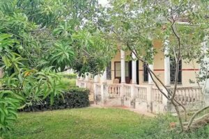 Finca “La Paz”- Santa Cruz De Mompox