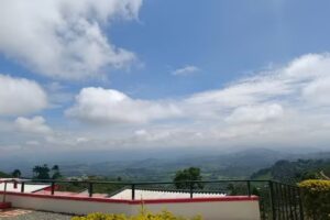 Finca la Pista en Palestina