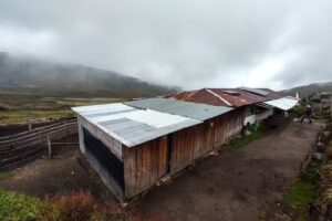 Finca La Playa de Aquilino