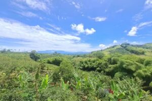 FINCA LA SIRIA ALTAGRACIA