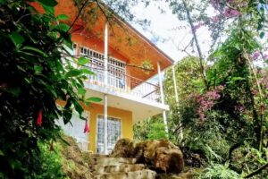 Finca La Vega ( Piscina y Estadero) Caf&eacute; Don Joaco