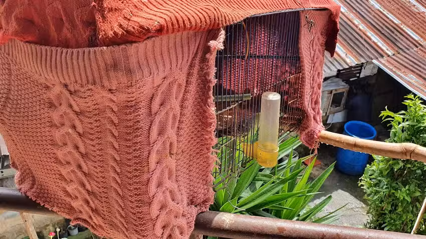 Finca Las Caba&ntilde;as