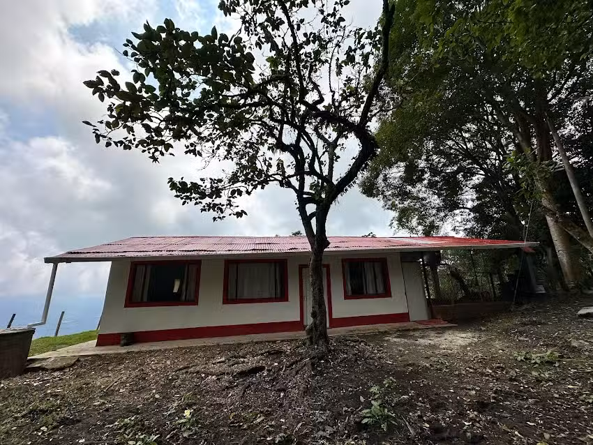 Finca Las Delicias &ndash; Puerto Araujo