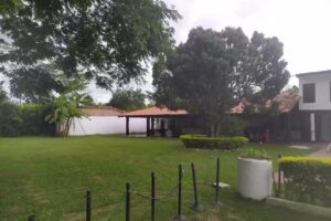 Finca Las DOS PALMAS