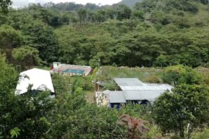 Finca Las Heliconias