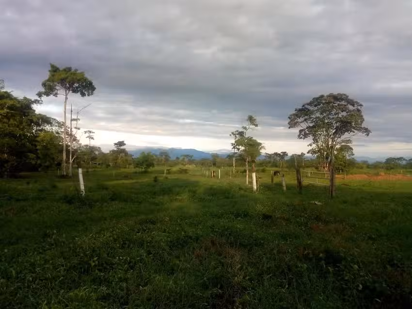 Finca las margaritas