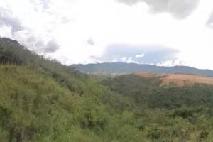 Finca &ldquo;Las Pailas&rdquo;