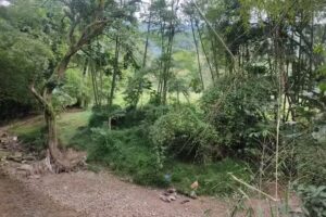 Finca Las Tres Hermanas