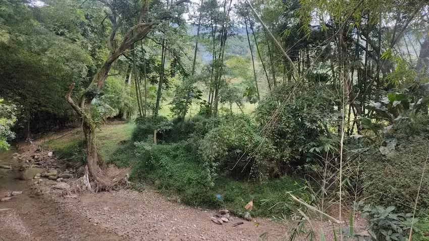 Finca Las Tres Hermanas