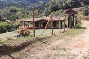 FINCA LAURITA